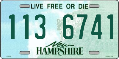 NH license plate 1136741