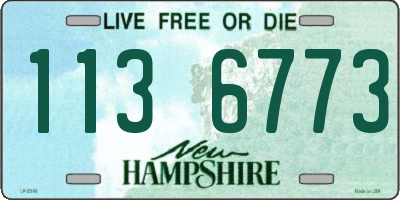 NH license plate 1136773
