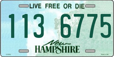 NH license plate 1136775