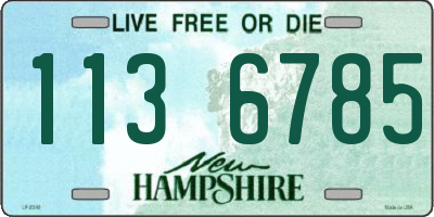 NH license plate 1136785