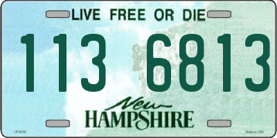 NH license plate 1136813