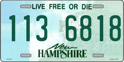 NH license plate 1136818