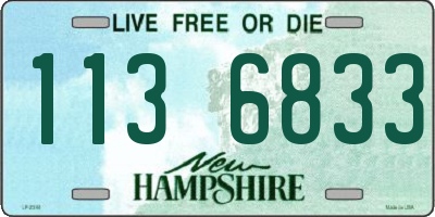 NH license plate 1136833