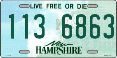 NH license plate 1136863