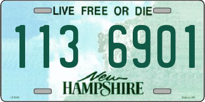 NH license plate 1136901