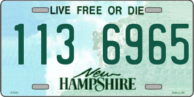NH license plate 1136965