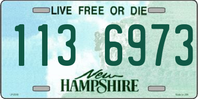 NH license plate 1136973