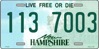 NH license plate 1137003