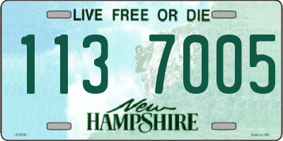 NH license plate 1137005
