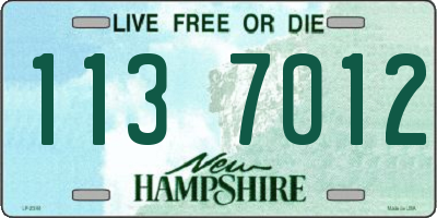NH license plate 1137012