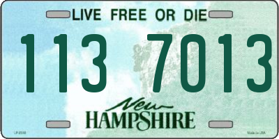NH license plate 1137013