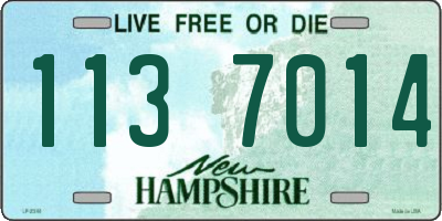 NH license plate 1137014