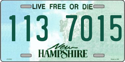 NH license plate 1137015
