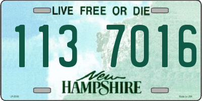 NH license plate 1137016