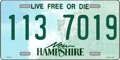 NH license plate 1137019