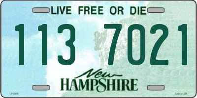 NH license plate 1137021