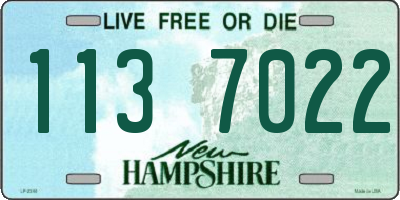 NH license plate 1137022