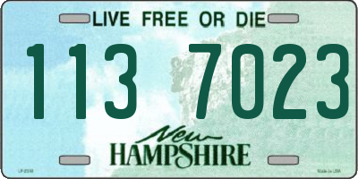 NH license plate 1137023