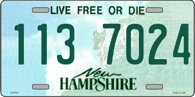 NH license plate 1137024