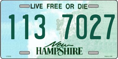 NH license plate 1137027