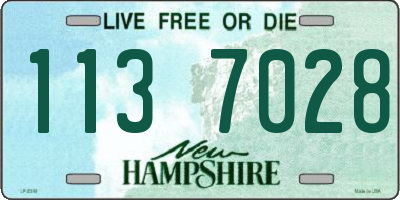 NH license plate 1137028