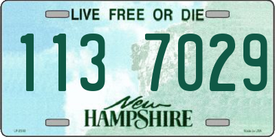 NH license plate 1137029