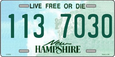 NH license plate 1137030