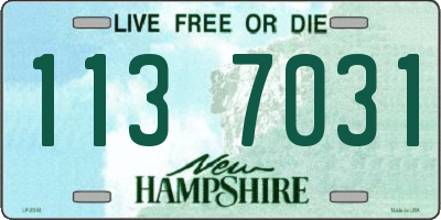 NH license plate 1137031