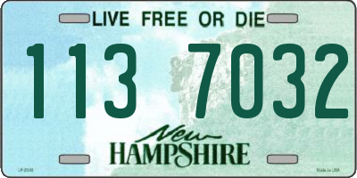 NH license plate 1137032