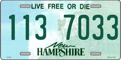 NH license plate 1137033