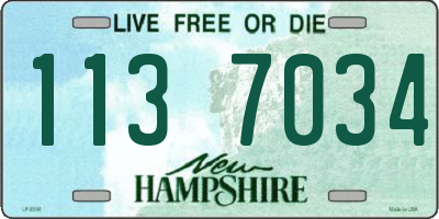NH license plate 1137034