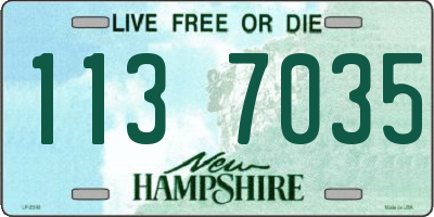 NH license plate 1137035