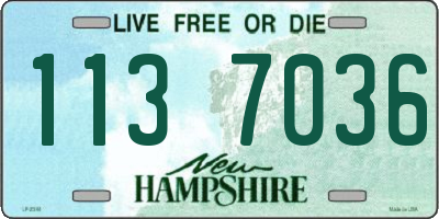 NH license plate 1137036