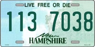 NH license plate 1137038