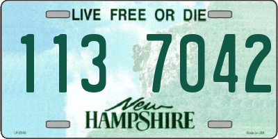 NH license plate 1137042