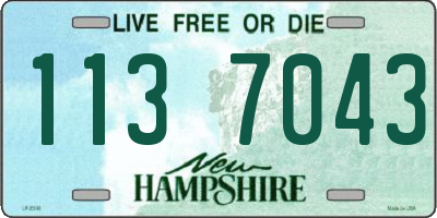 NH license plate 1137043