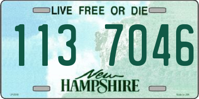 NH license plate 1137046