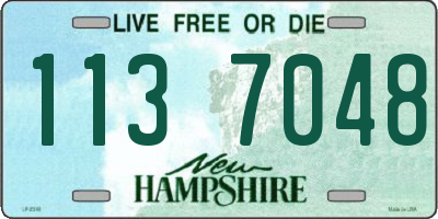 NH license plate 1137048