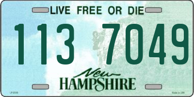 NH license plate 1137049