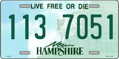 NH license plate 1137051