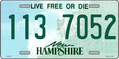 NH license plate 1137052