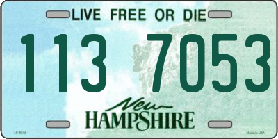 NH license plate 1137053