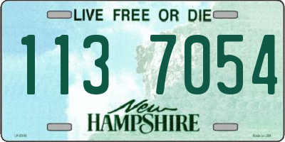 NH license plate 1137054