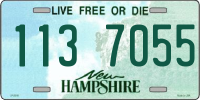 NH license plate 1137055