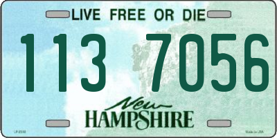 NH license plate 1137056