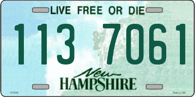 NH license plate 1137061