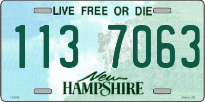 NH license plate 1137063