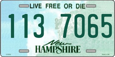 NH license plate 1137065