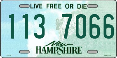 NH license plate 1137066