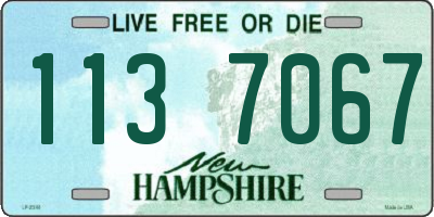 NH license plate 1137067